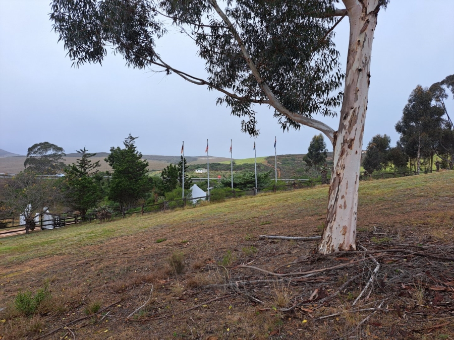 17 Bedroom Property for Sale in Riversdale Rural Western Cape